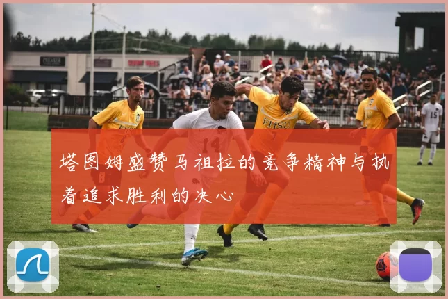 塔图姆盛赞马祖拉的竞争精神与执着追求胜利的决心