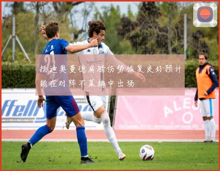 扬迪奥曼德肩膀伤势恢复良好预计能在对阵不莱梅中出场