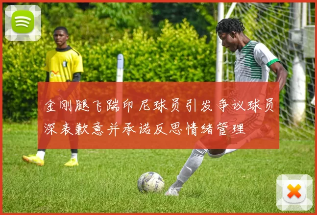 金刚腿飞踹印尼球员引发争议球员深表歉意并承诺反思情绪管理