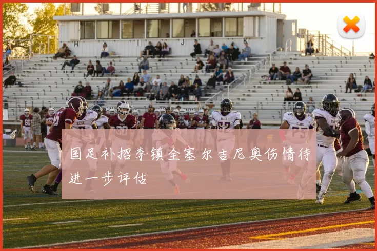 国足补招李镇全塞尔吉尼奥伤情待进一步评估