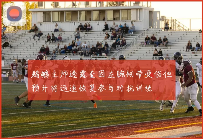 鹈鹕主帅透露奎因左腕韧带受伤但预计将迅速恢复参与对抗训练