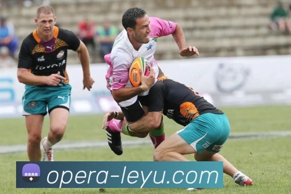 乐鱼体育品牌故事