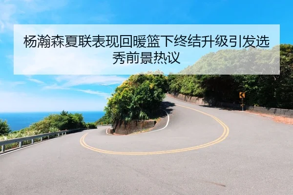 杨瀚森夏联表现回暖篮下终结升级引发选秀前景热议